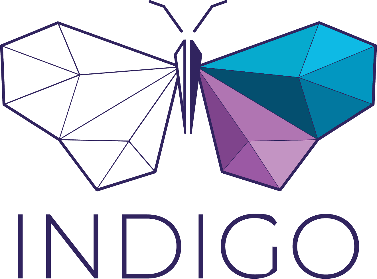 Indigo Institute
